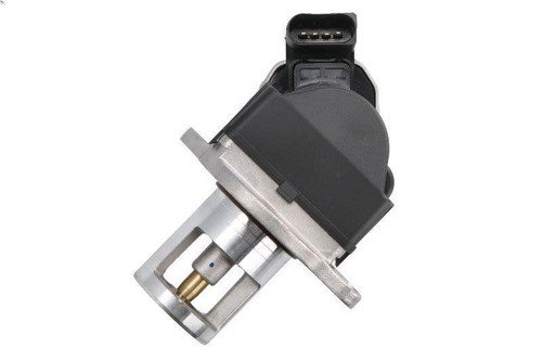 Valvola egr borg - borg, warner